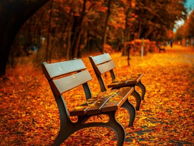 Supporting someone who is grieving