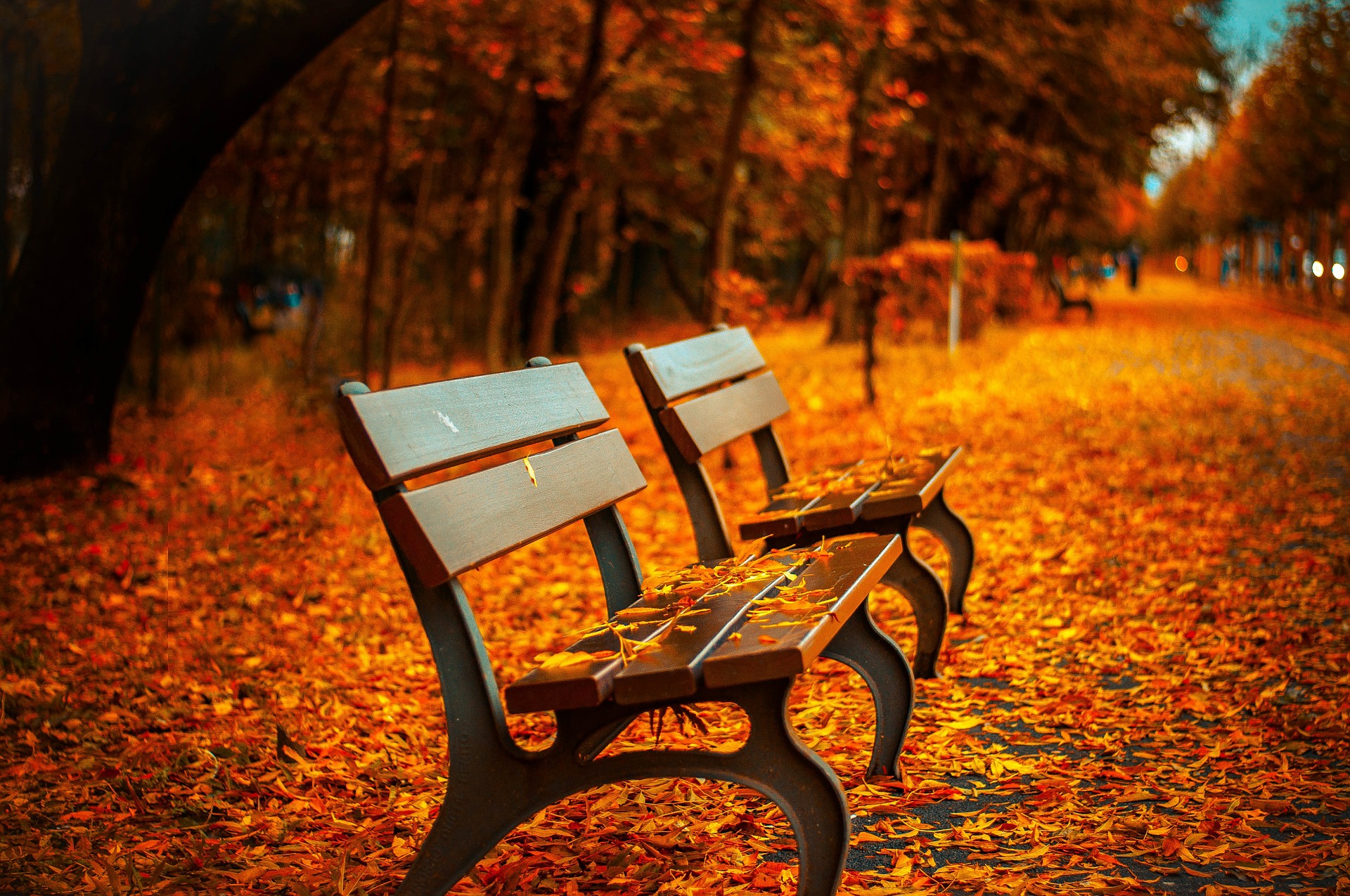 You are currently viewing Supporting someone who is grieving