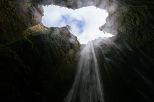 phobias and anxiety