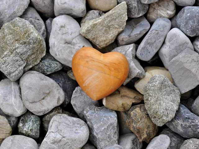 What is Compassion Focussed Therapy (CFT)?