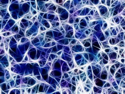 What is anxiety and why do we have it?