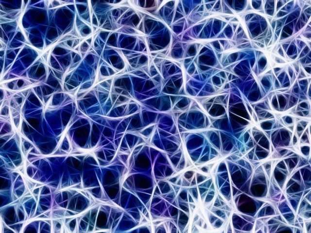 What is anxiety and why do we have it?