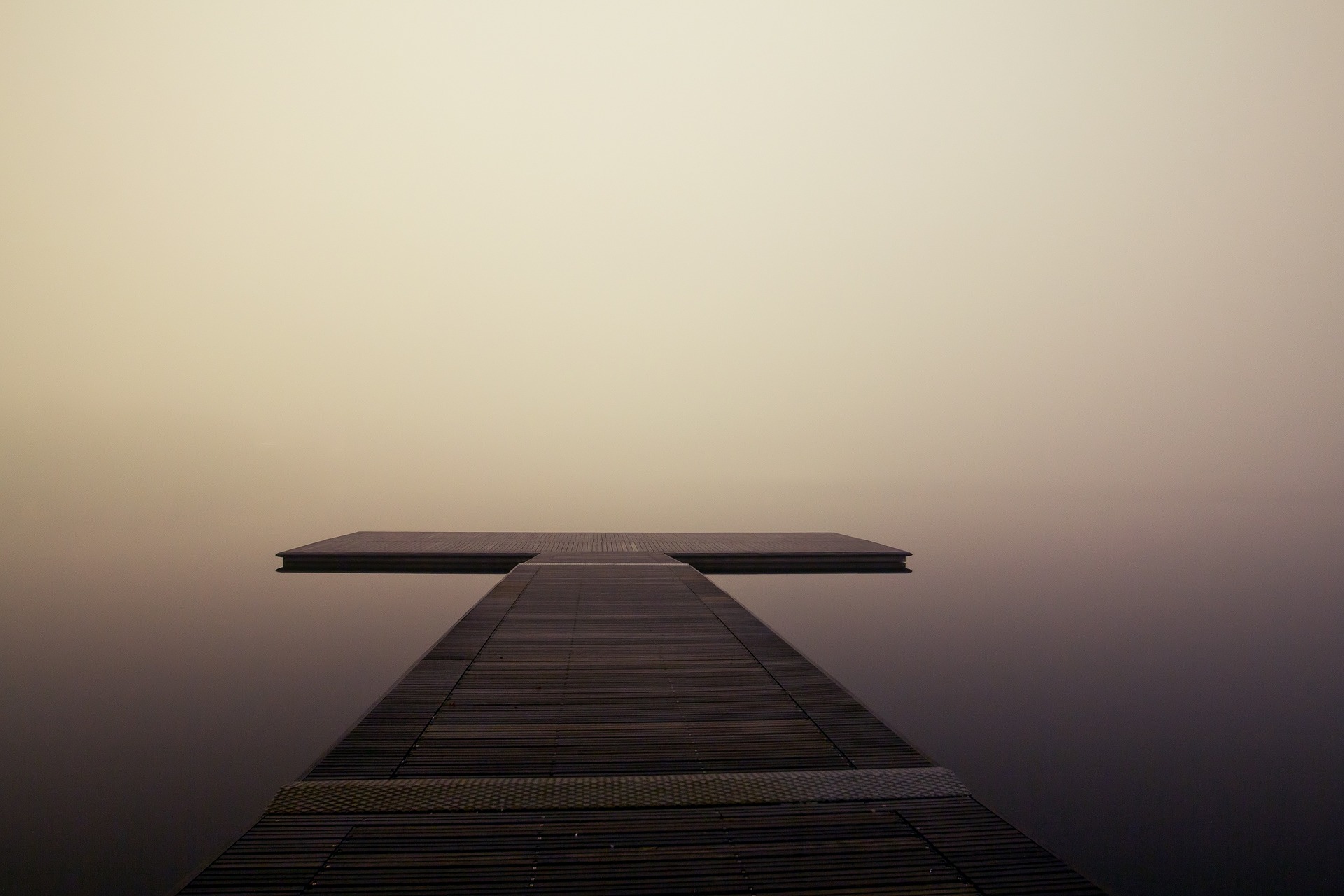 You are currently viewing Three systems model of emotion in Compassion Focussed Therapy